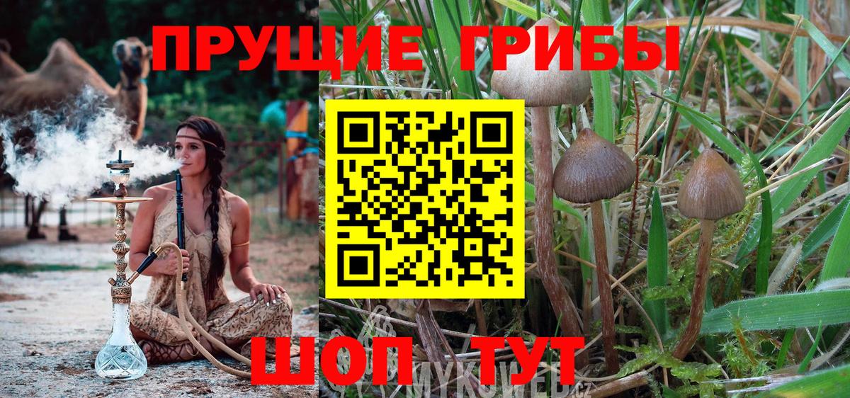 Псилоцибиновые грибы MAGIC MUSHROOMS Крымск